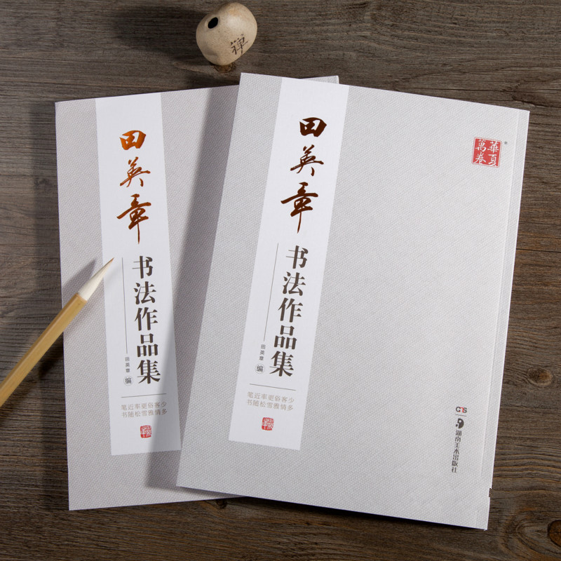 Ouyang Xun Kuas Buku Potenkopi - Chinese Calligraphy Practice Book ulasan dan harga